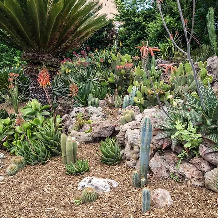 Сasa de vacaciones Vacatella - La Nonna, Rez De Jardin De 90m2 D'une Avec Terrasse Privative De 50m2 Et Apercu Sainte-Maxime