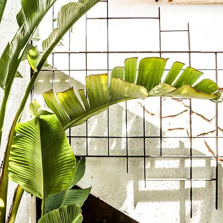 Chaleureuse De 90m2 Avec Terrasse Ombragee De 50m2, Plancha Et Apercu Sainte-Maxime