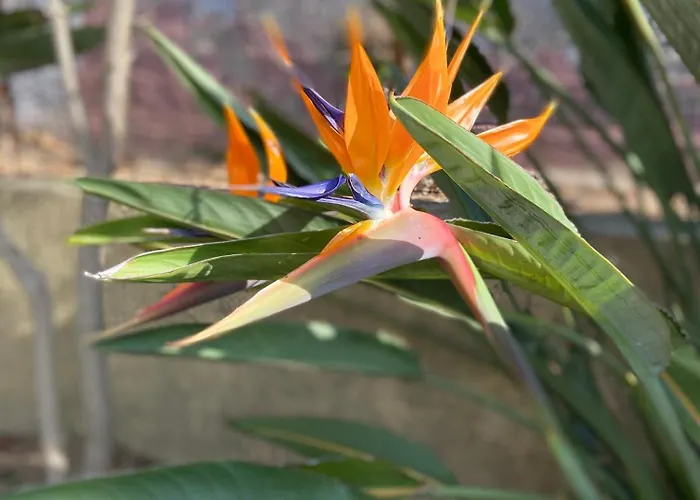 Semesterbostad Chaleureuse De 90m2 Avec Terrasse Ombragee De 50m2, Plancha Et Apercu *