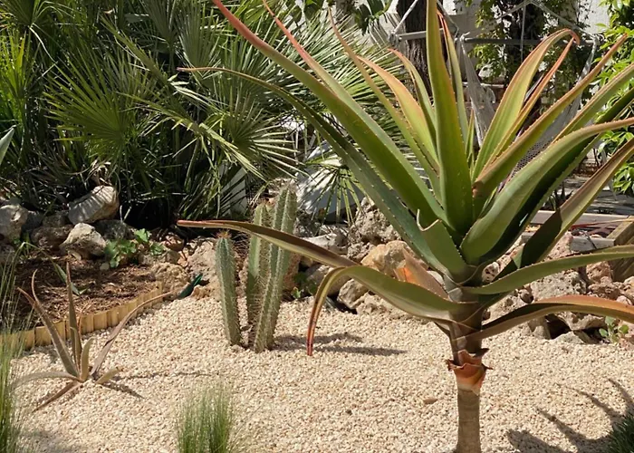 Chaleureuse De 90m2 Avec Terrasse Ombragee De 50m2, Plancha Et Apercu