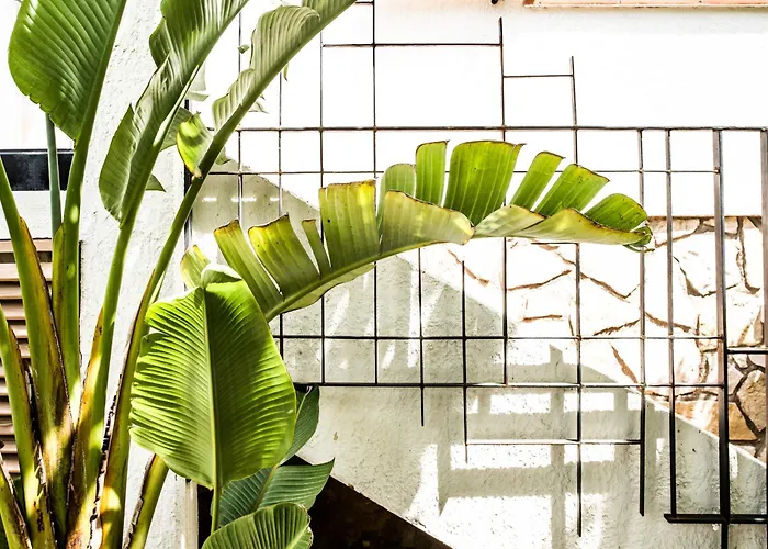 Chaleureuse De 90m2 Avec Terrasse Ombragee De 50m2, Plancha Et Apercu Sainte-Maxime