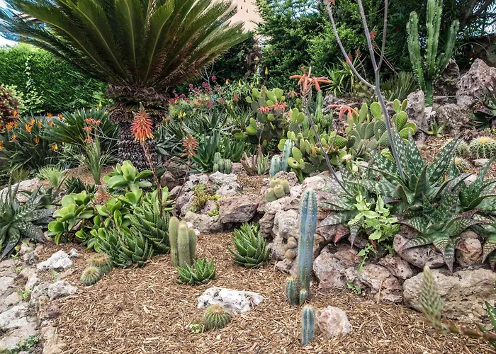 Semesterbostad Chaleureuse De 90m2 Avec Terrasse Ombragee De 50m2, Plancha Et Apercu Sainte-Maxime